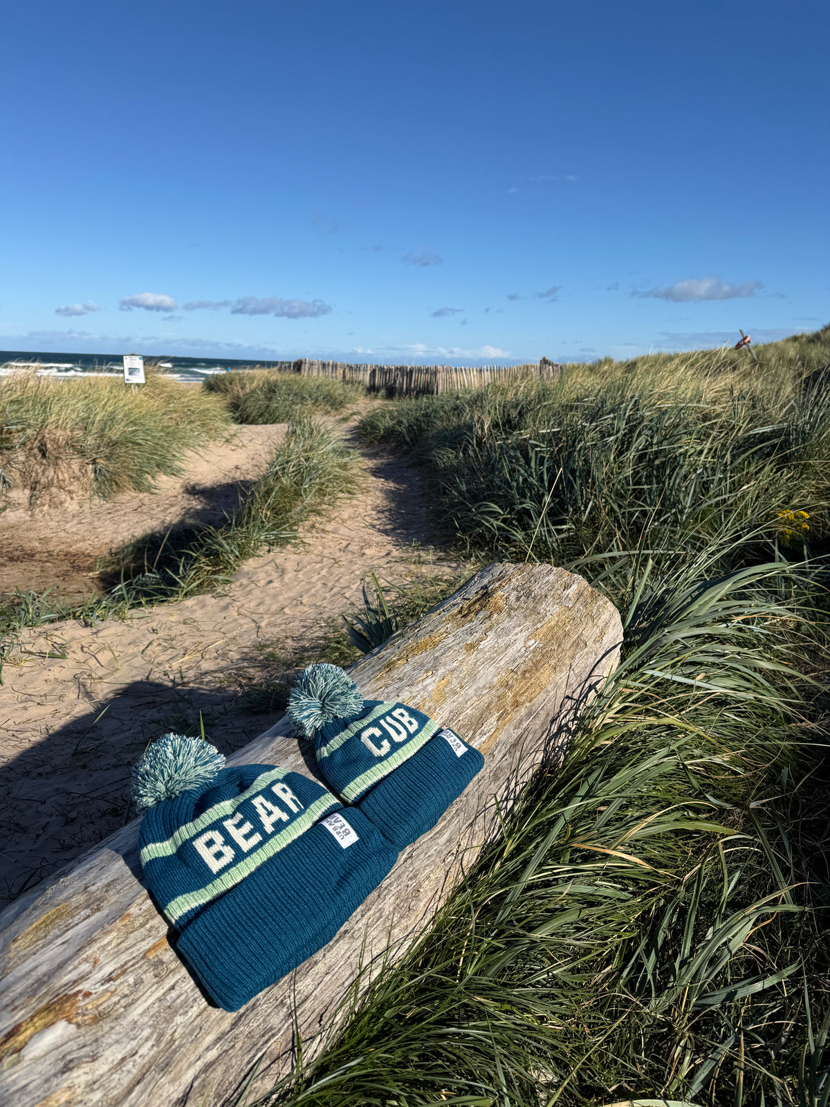 Bear & Cub Matching Hat Set