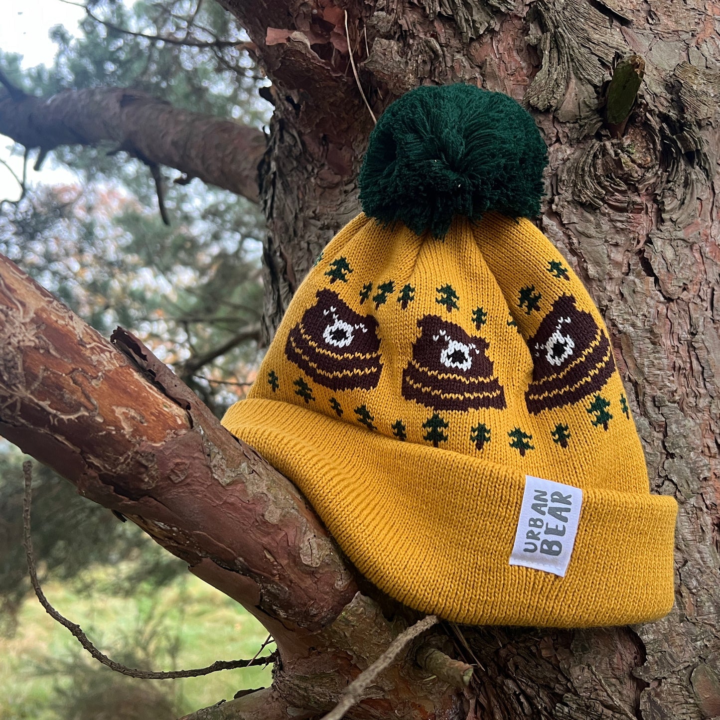 Yellow bear design bobble hat on a tree branch